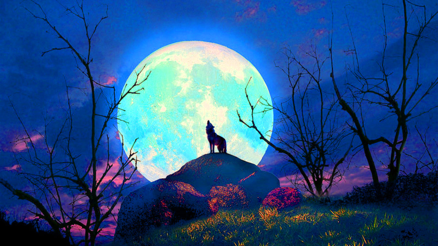 Jeans_0.553517896841156